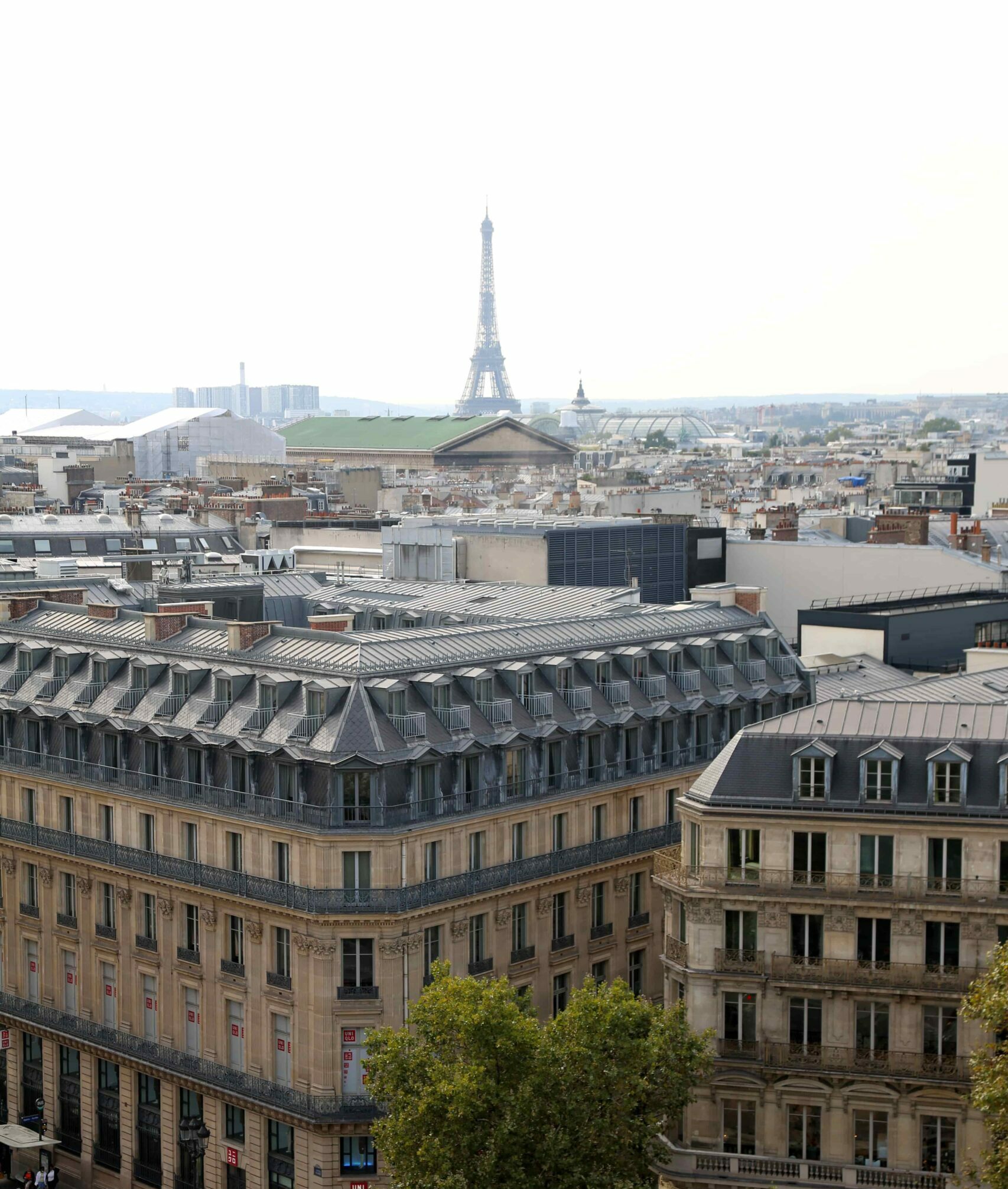haussmann boulevard in paris, with eiffel tower behind