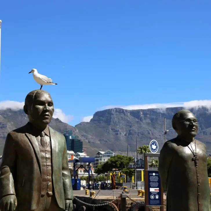 The Best of the Free Things to Do in Cape Town