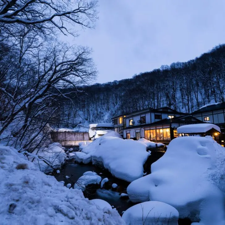 Where to Spend Winter in Japan for 2025: The Top 8 Destinations