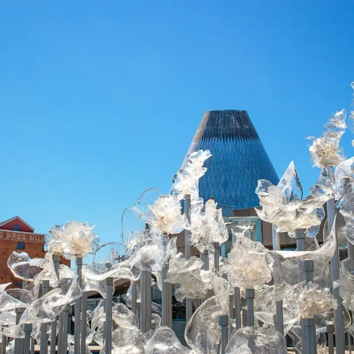 Don’t Miss These 4 Great Things To Do in Tacoma, Washington