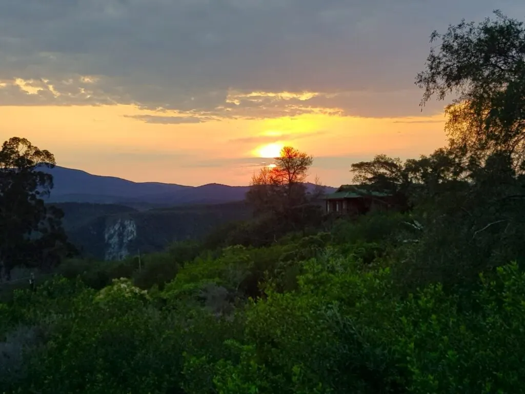 Knysna is surrounded by stunning indigenous forests, something the area is best known for.