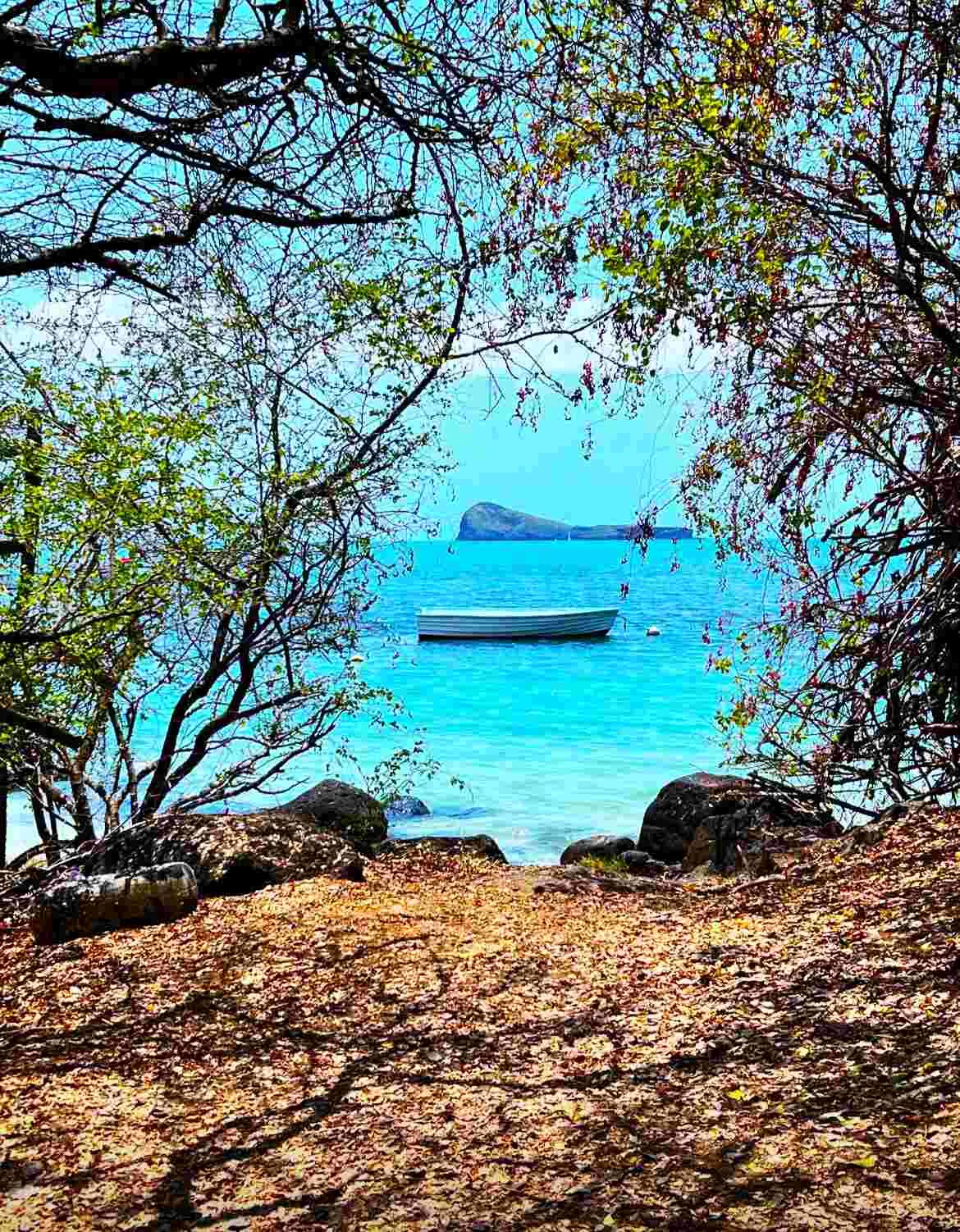 Views of Coin de Mire Islet from Butte a L'Herbe Beach in Mauritius 