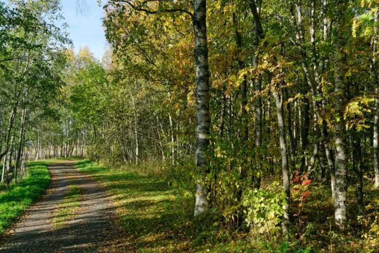 Visiting Oulu, Finland, and the Best Things to Do in Oulu - Oulu Highest Penthouse With Best Views Oulu Finland