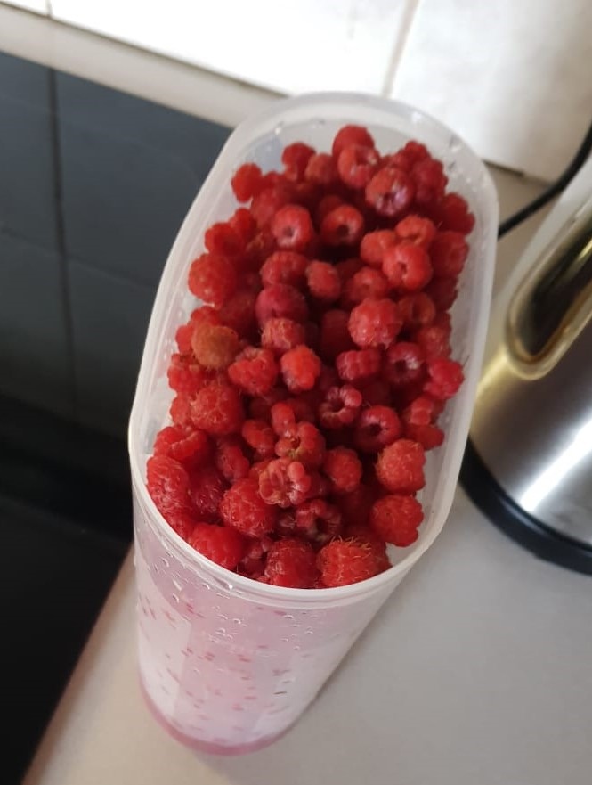 Raspberries are amongst the natural ingredients that are most commonly used in Finnish desserts