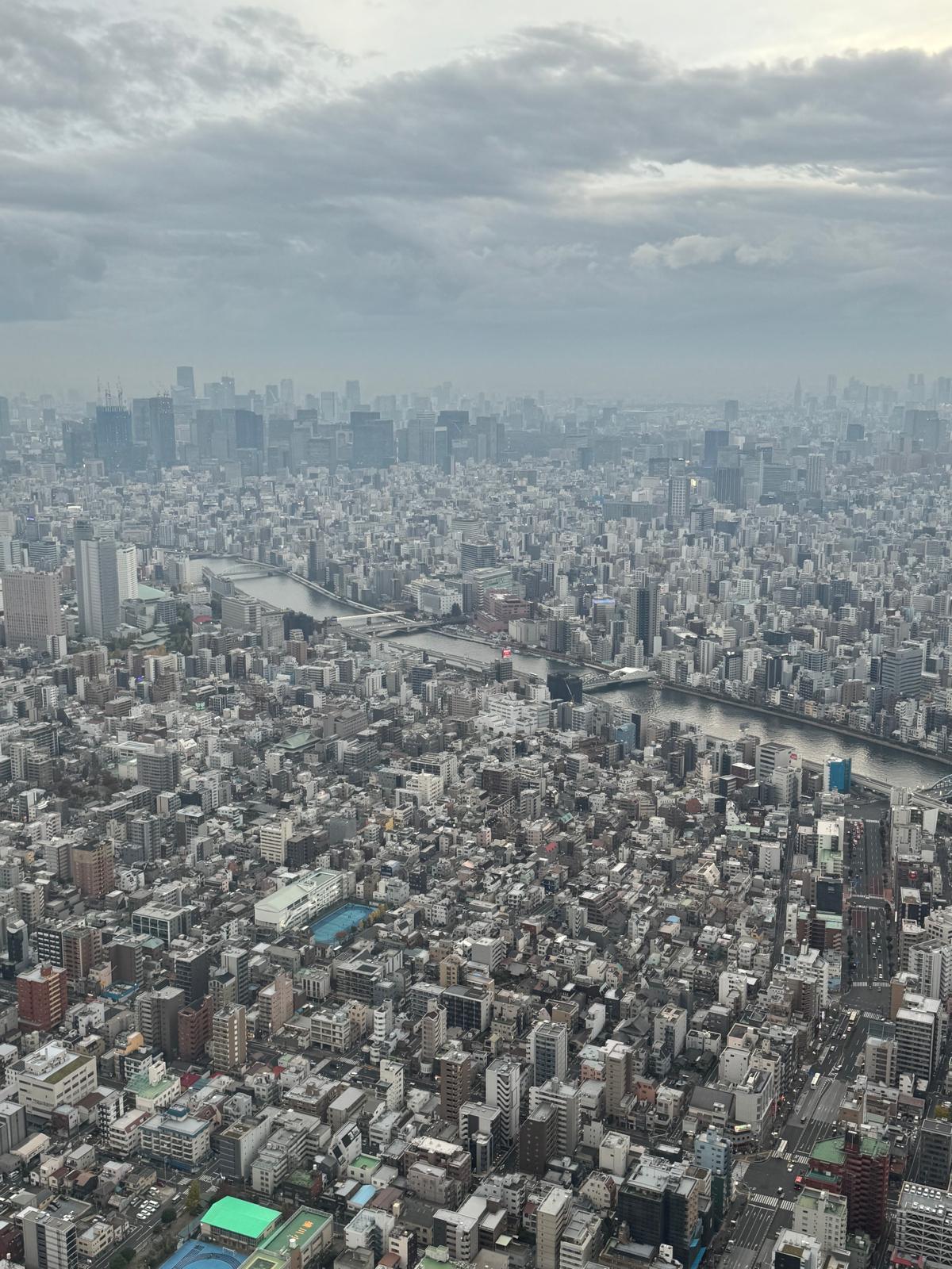 Tokyo seen from the SkyTree a must visit for first timers on any 2 week japan itinerary 