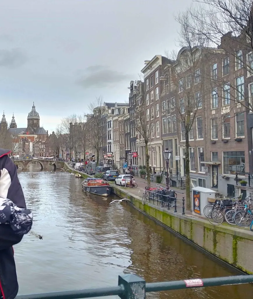 Dutch houses bordering a canal on a cloudy day