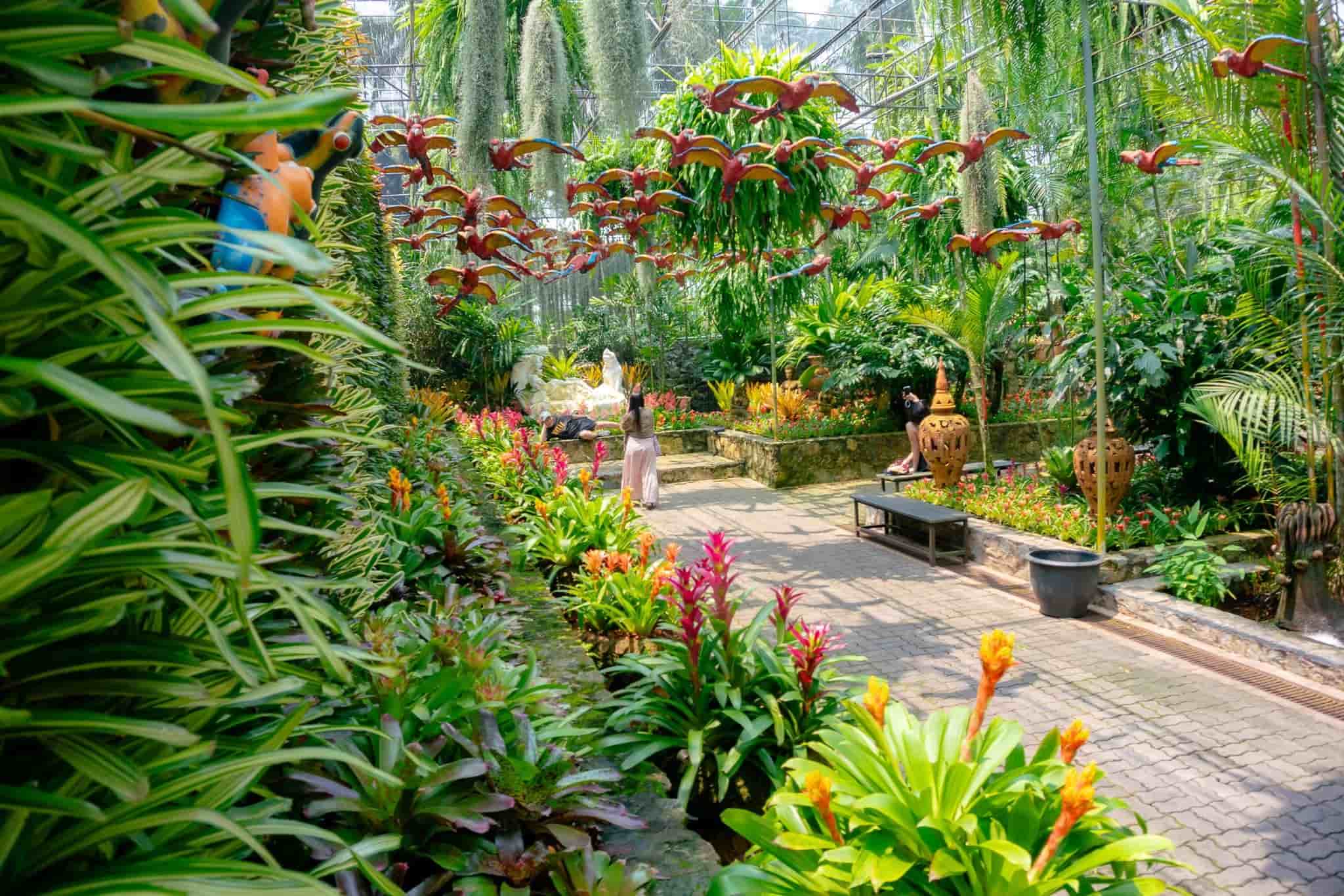 Spend hours wandering one of the 50 gardens at Nongnooch Garden Pattaya