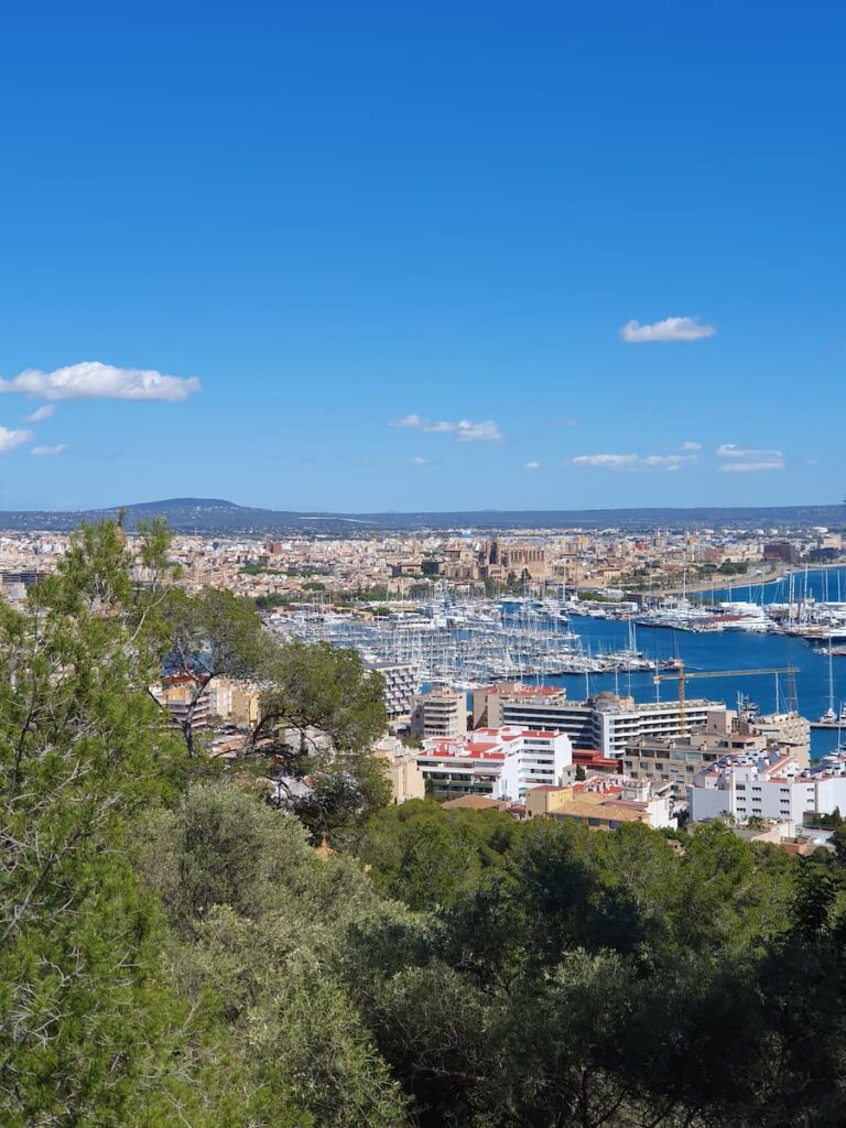 view of palma bay and cathedral from bellver castle in palma de mallorca spain