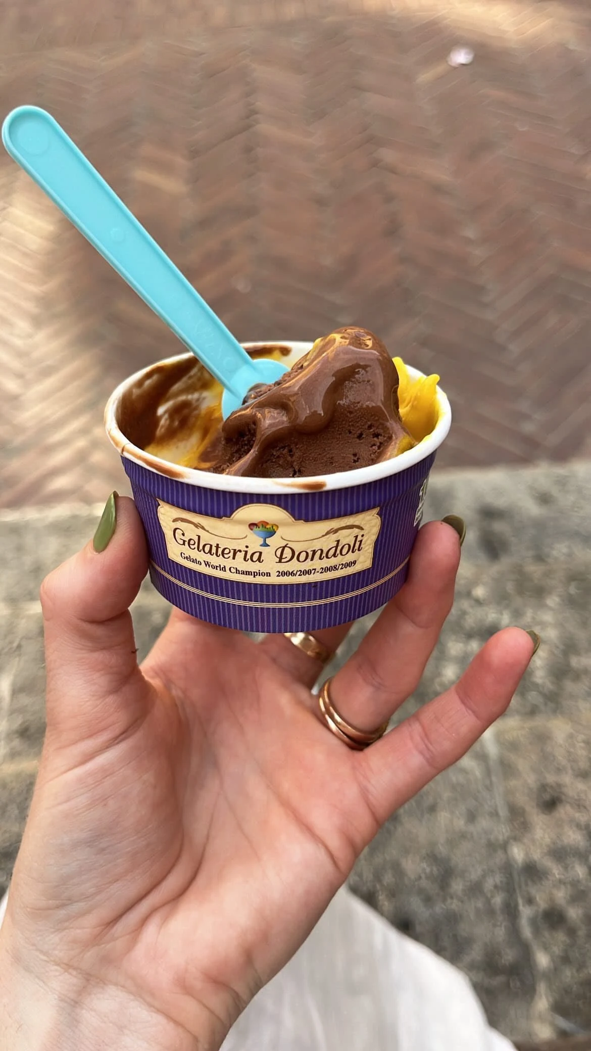 Dark choc and mango sorbet from the world's number one gelato champions