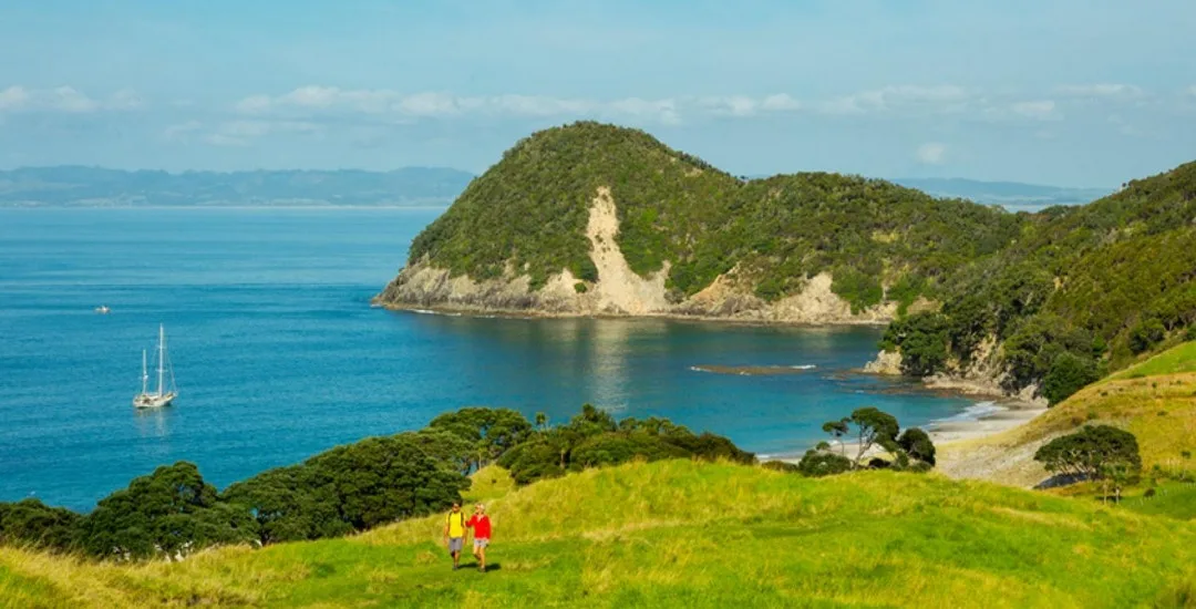 smugglers bay day hike things to do in whangarei