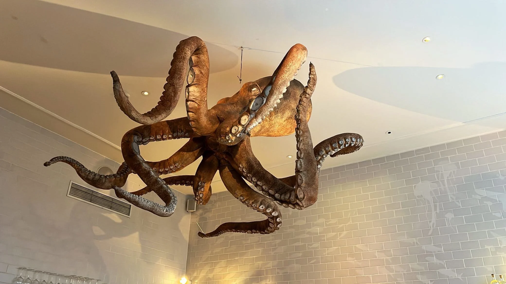 The hanging octopus at A Cevicheria