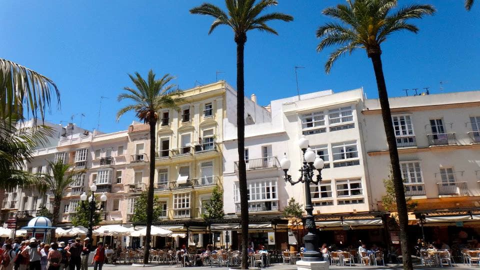 The palm-tree lined streets of Cadiz