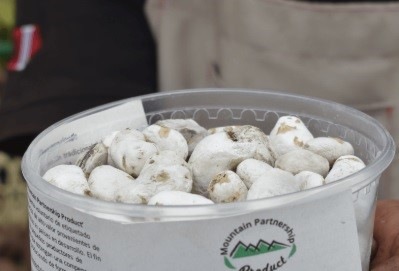 Chuño pieces in a plastic bowl with a label on it