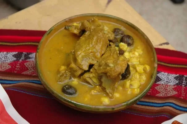 Fricasé in a bowl