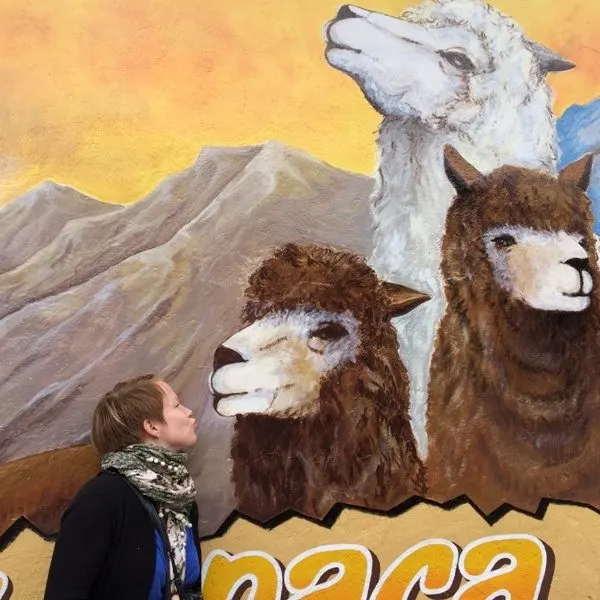 Murals in La Paz with llamas and a person next to it