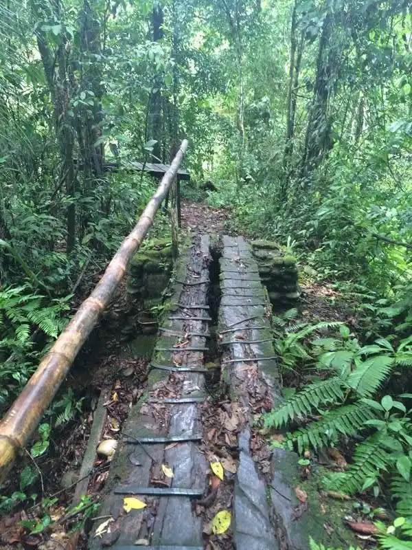 Forest boardwalk at Villa Tunari - a must visit on your 2 week bolivia travel itinerary