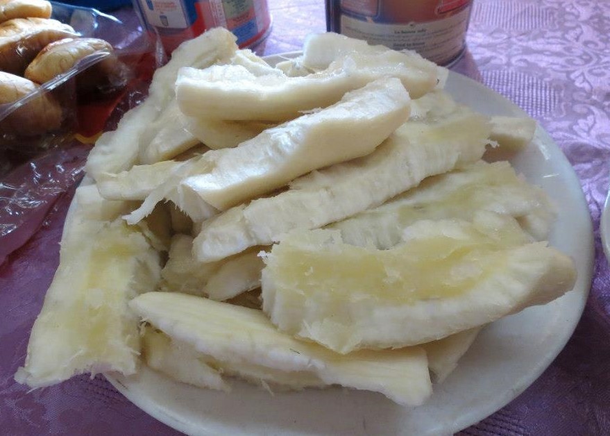 Cassava roots boiled and cut into slices, on a plate