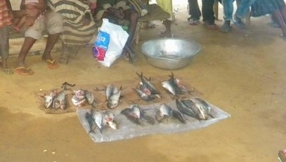 Fresh fish presented on an earthen floor