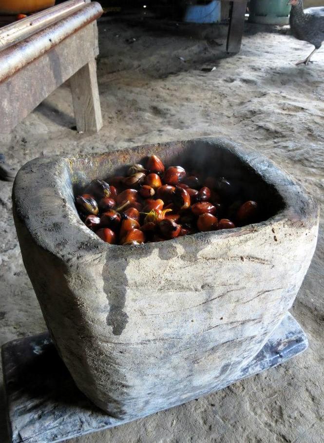 Palm seeds