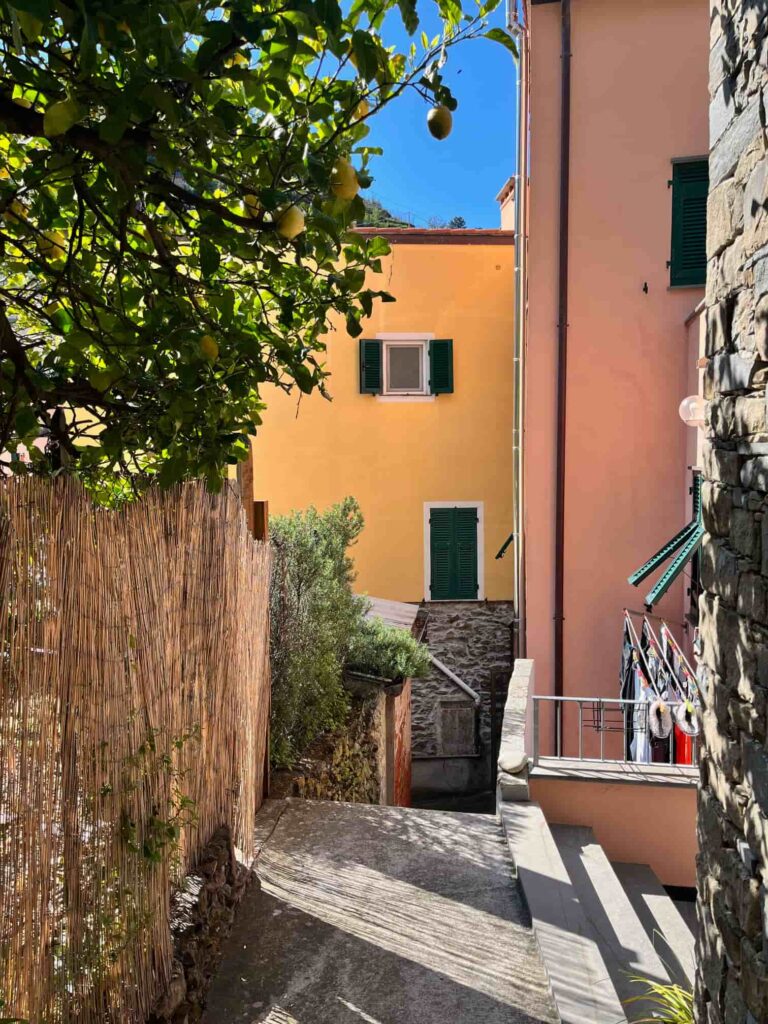 Riomaggiore's colorful alleys