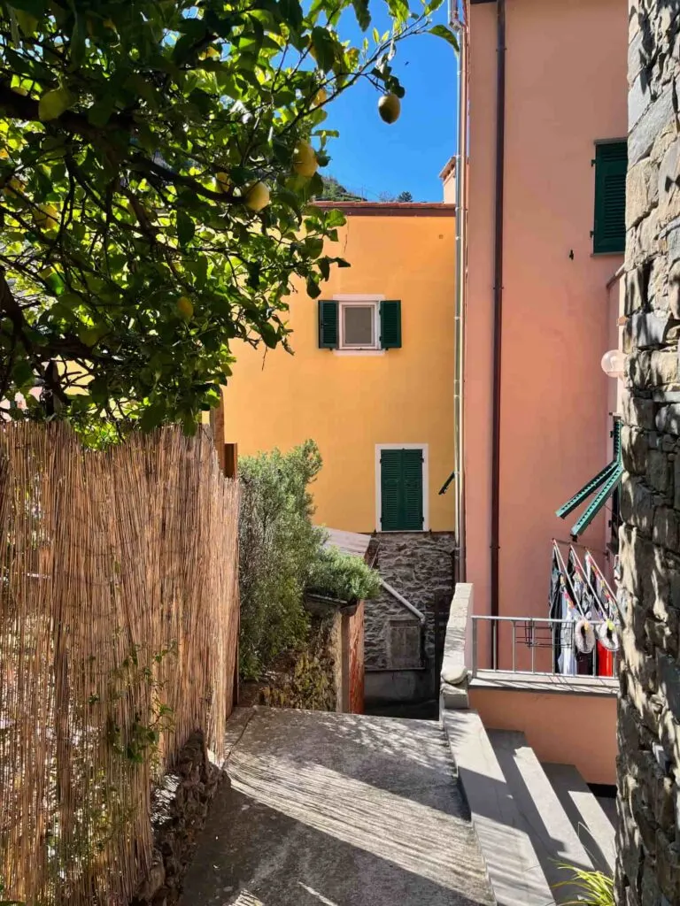 Riomaggiore's colorful alleys