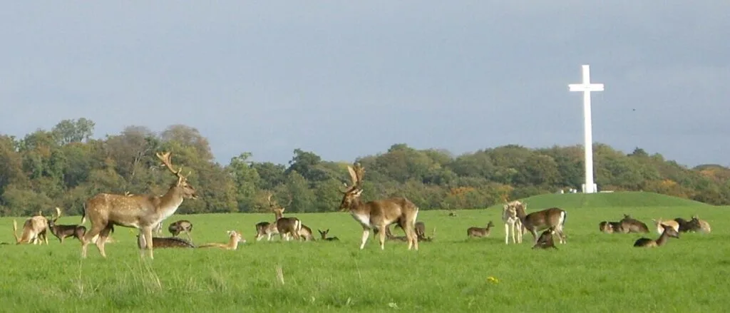 a herd of deer in front of the papal cross in phoenix park dublin ireland