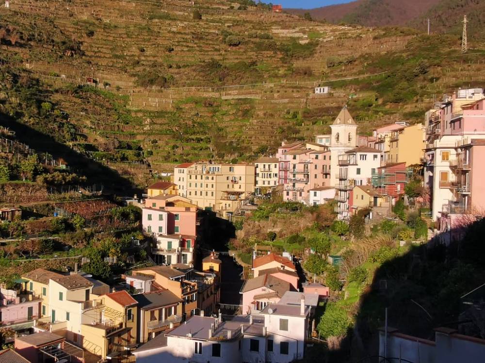 Manarola town