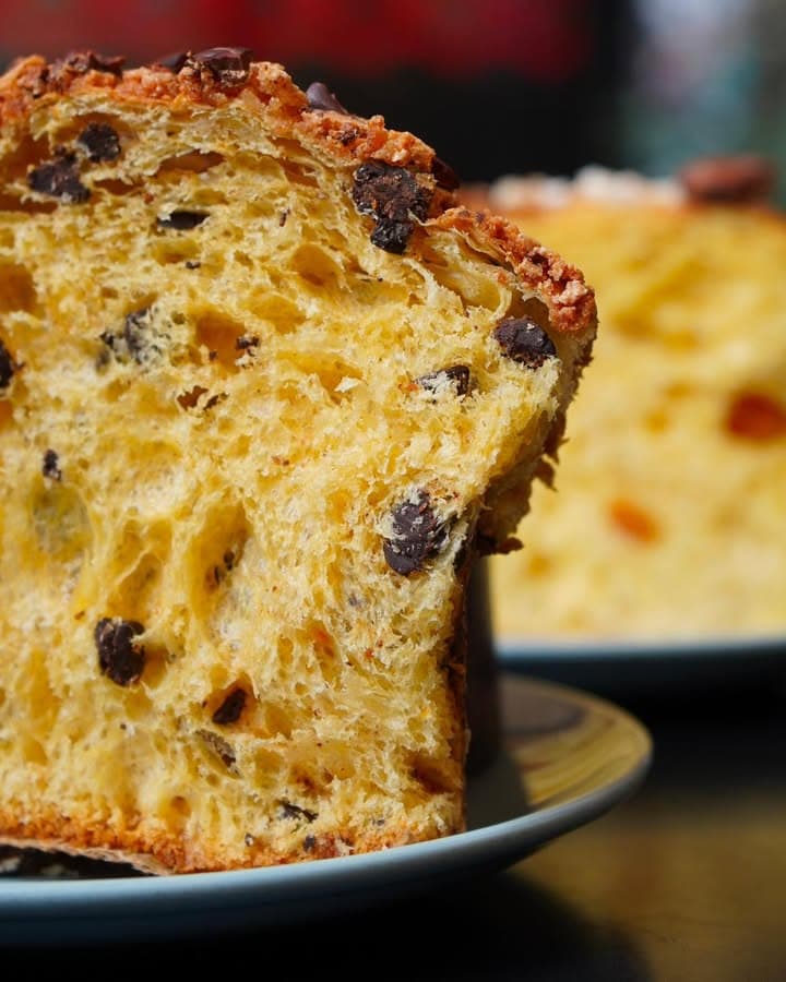 Chocolate specked panettone