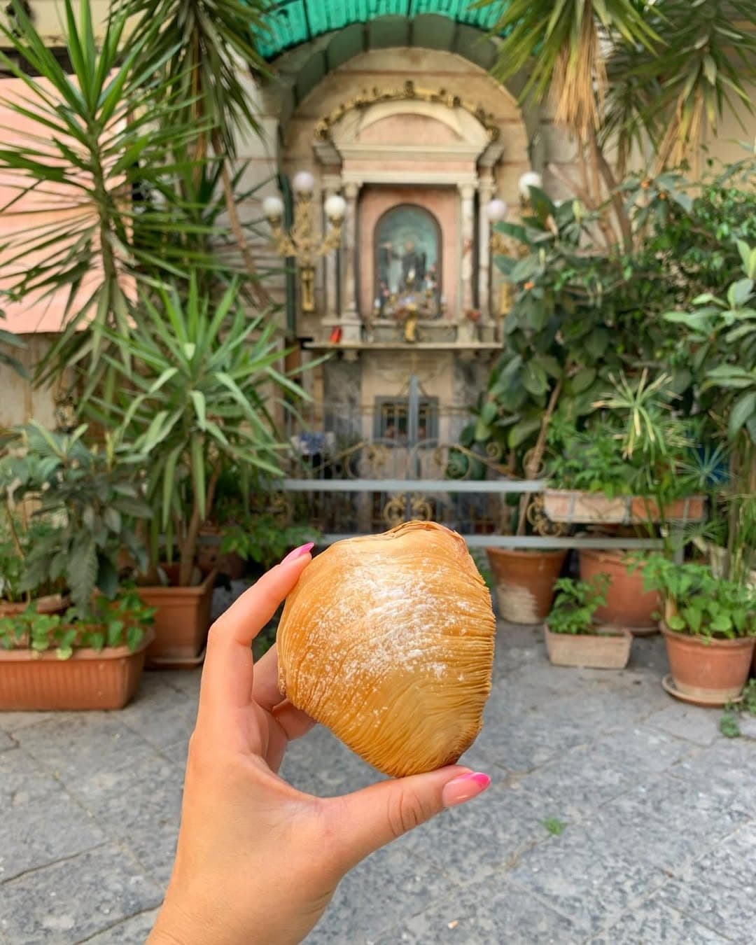 The classic Sfogliatelle