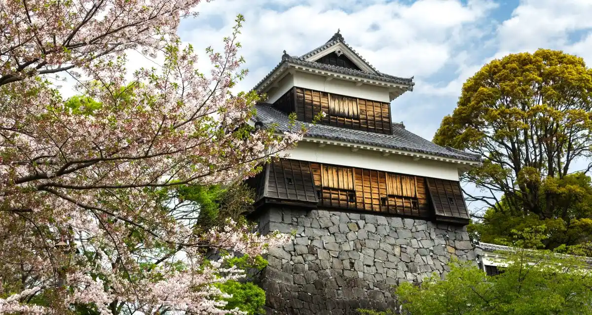 Kumamoto castle in the sakura season
