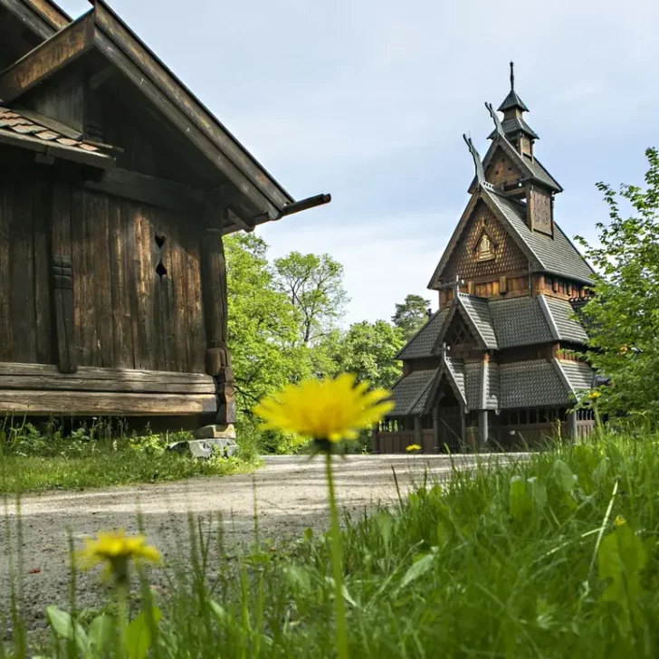 a norwegian stave church behind grass and dandelions at the norsk folkemuseum in bygdoy oslo norway
