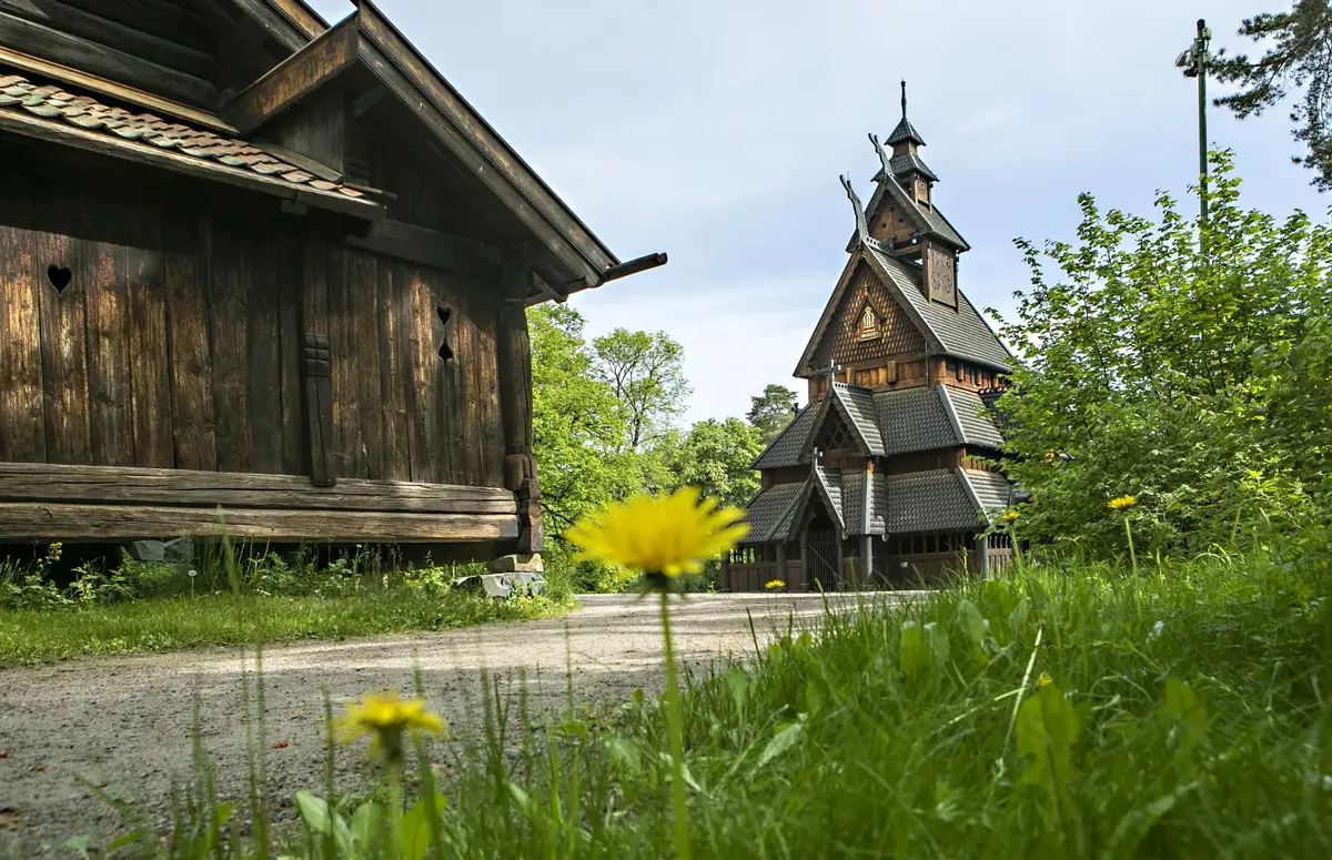 a norwegian stave church behind grass and dandelions at the norsk folkemuseum in bygdoy oslo norway