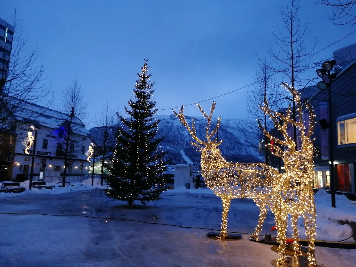 reindeer and a christmas tree lit up ahead of christmas in tromso norway