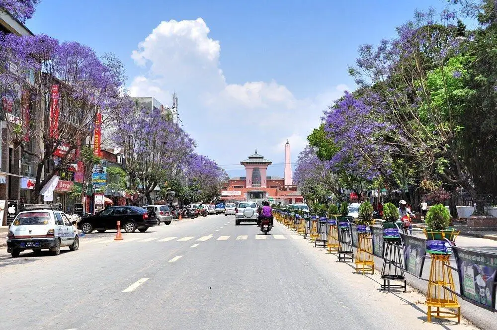 Long street leading to a palace