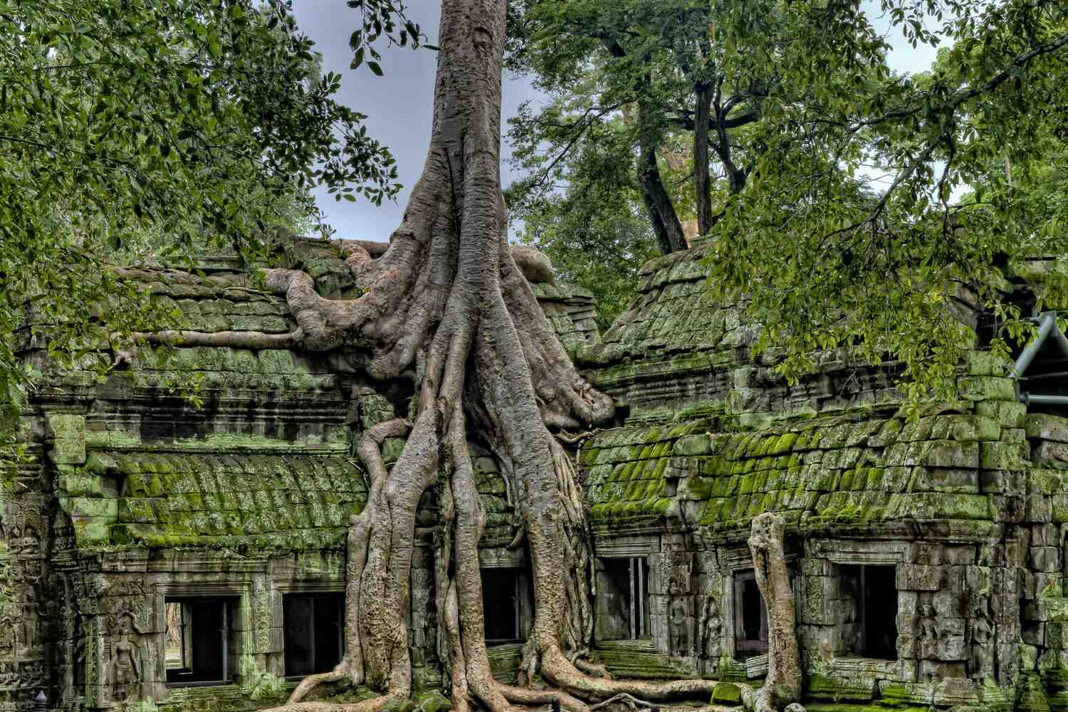 10 day cambodia itinerary nature temple