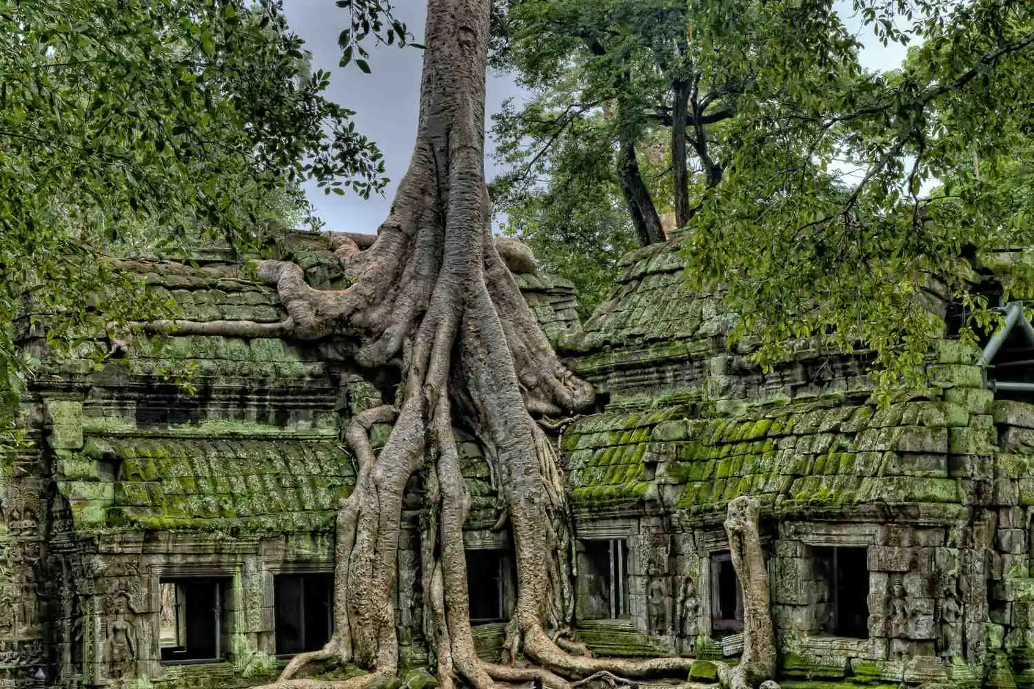 10 day cambodia itinerary nature temple