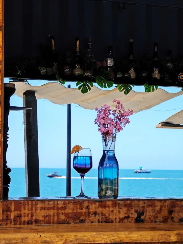 a vase with pink flowers next to a glass of red wine overlooking the black sea in sokhumi georgia