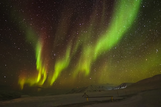 the northern lights aurora borealis in the sky above svalbard norway