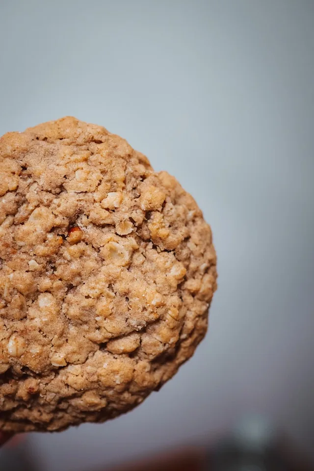 a plain oat cookie against a white background