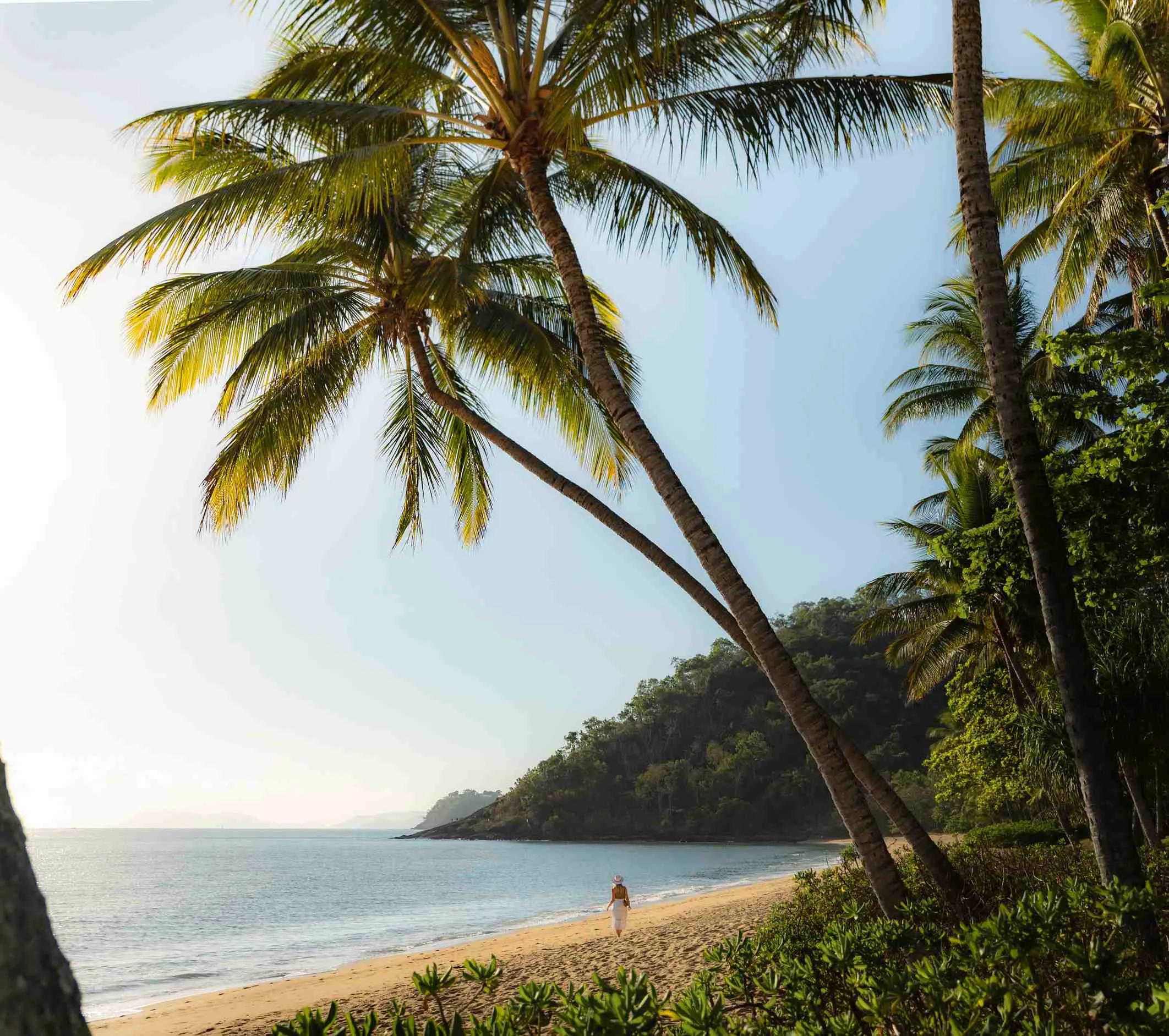 A tropical beach with palm trees and a person walking