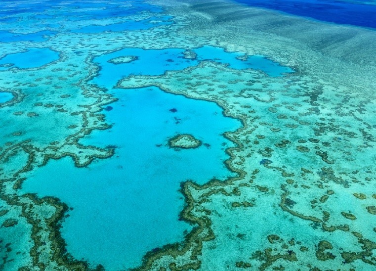 A part of the Great Barrier Reef seen from air