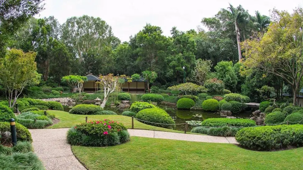 Mt Coot-tha garden near Brisbane