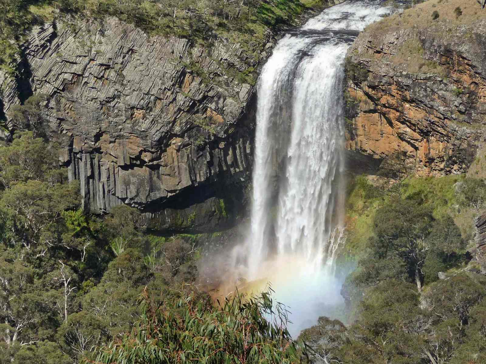 A tall waterfall running down a cliff above a forest