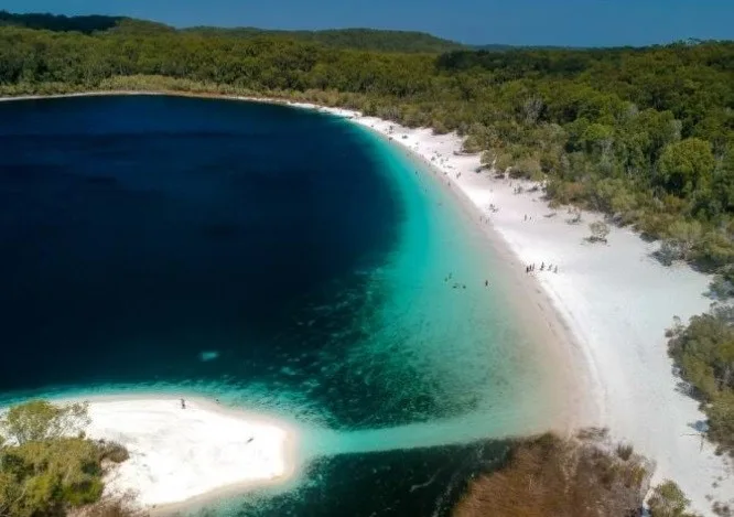 A deep blue and turquoise lake with white sands and forest bordering it, seen from above