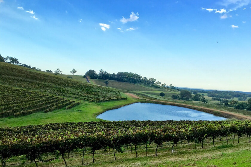 Hunter Valley wine region in New South Wales