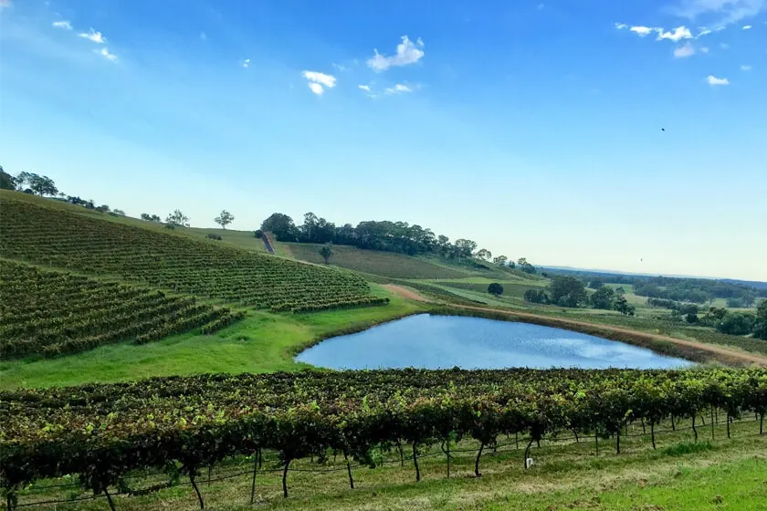 Hunter Valley wine region in New South Wales