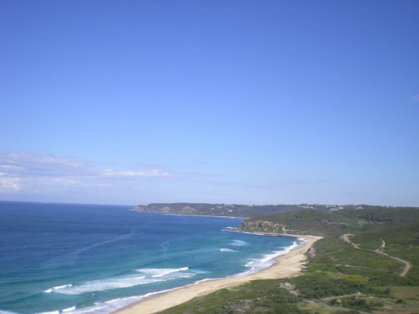 A sandy beach bordered by the sea and green vegetation