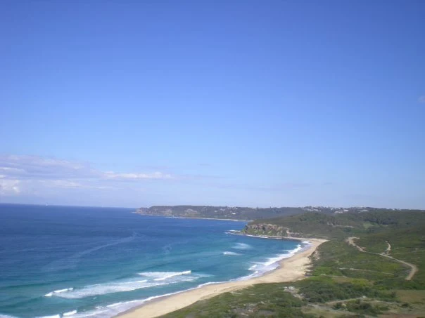 A sandy beach bordered by the sea and green vegetation