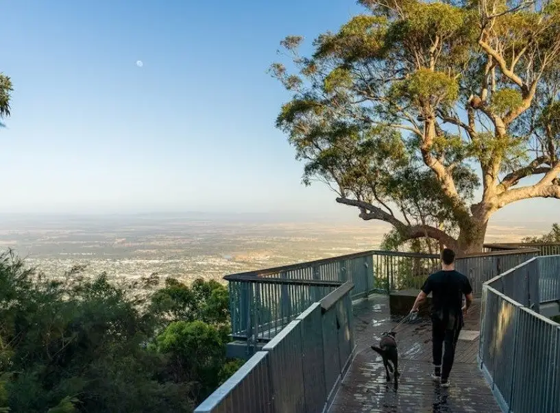 A person with a dog walking on a boardwalk