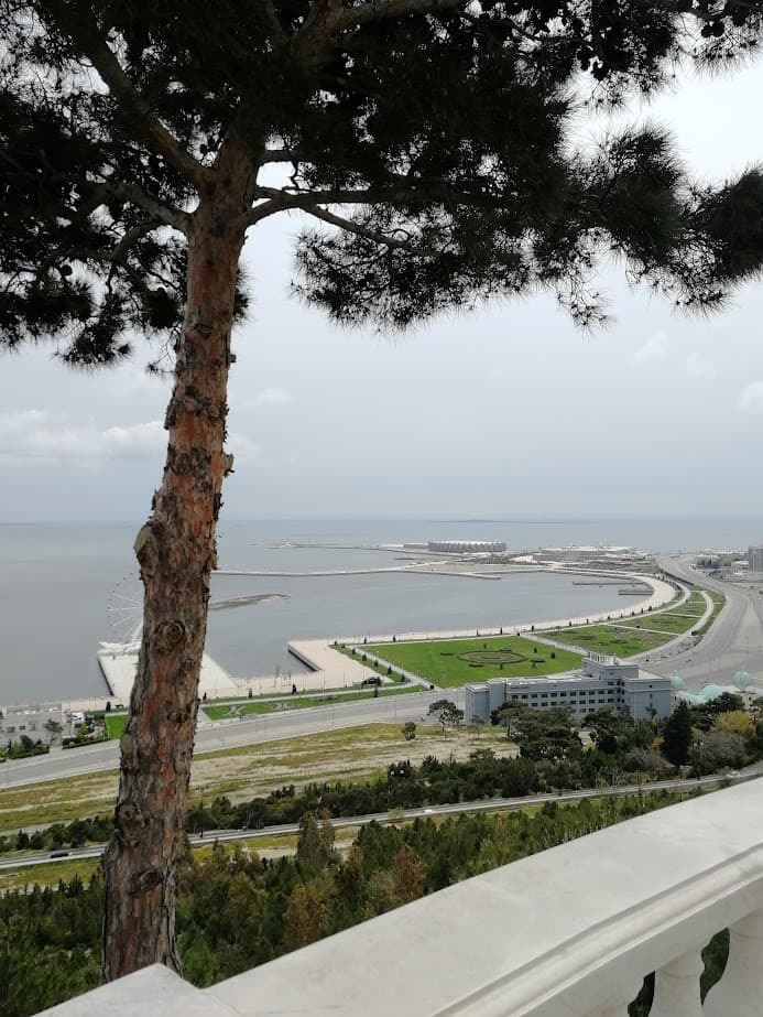 a tree in front of a ferris wheel and green parkland backing onto the caspian sea on baku boulevard baku azerbaijan
